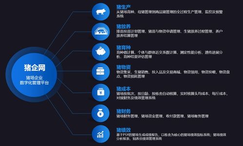 智慧養(yǎng)豬新篇章 企聯(lián)網(wǎng)產(chǎn)品結(jié)構(gòu)全景解讀